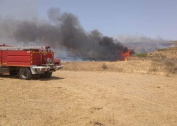 اوتيك: اندلاع حريق بجبل منزل غول