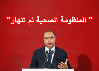 المشيشي:”المنظومة الصحية لم تنهار ”
