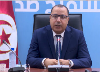 مشيشي: استدعاء التونسيين للتلقيح يوم العيد قرار إجرامي (فيديو)