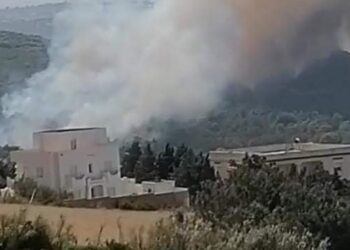 رأس الجبل: حريق بالغابة الشعراء