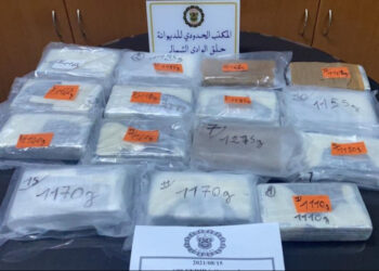 ميناء حلق الوادي : إحباط محاولة تهريب أكثر من 17 كيلوغرام كوكايين