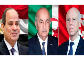 مصر والجزائر تتفقان على الدعم الكامل للرئيس التونسي