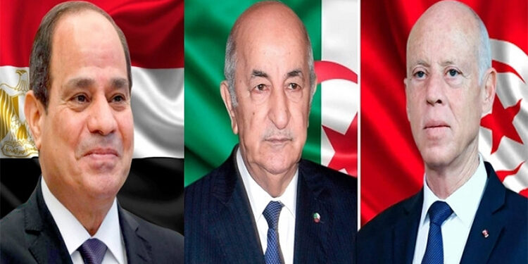 مصر والجزائر تتفقان على الدعم الكامل للرئيس التونسي