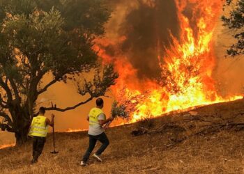الجزائر تتهم مجموعة تقول إن لها صلات بالمغرب وإسرائيل بإشعال حرائق غابات