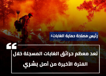 رئيس مصلحة حماية الغابات : "تعد معظم حرائق الغابات المسجلة خلال الفترة الأخيرة من أصل بشري"