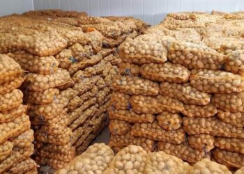 ليث بن بشر : مراكز تبريد ليست معدة للمضاربة و الإحتكار