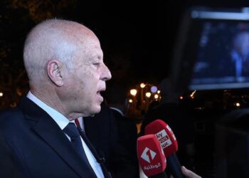 الرئيس قيس سعيد : لا بد من إدخال تعديلات في إطار الدستور