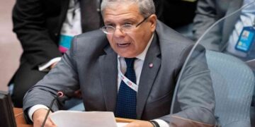 عثمان الجرندي: الرئيس يعتزم اتخاذ خطوات جديدة لطمأنة شركاء تونس