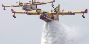 الرئيس الجزائري يأمر بالإرسال الفوري لمعدات إلى الشقيقة تونس لإخماد الحرائق في الغابات